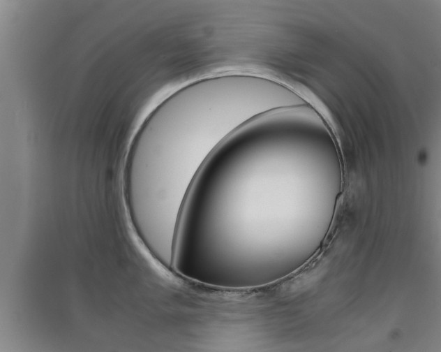 X0000091551005200708171037