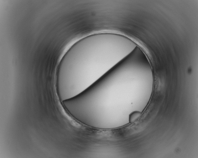 X0000091551006200708171037