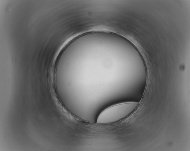 X0000091551008200708171037