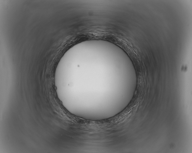 X0000091551009200708171036