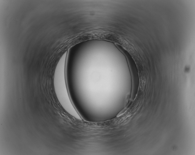 X0000091551010200708171036