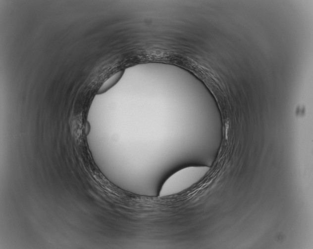 X0000091551011200708171036