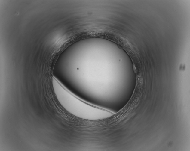 X0000091551012200708171036