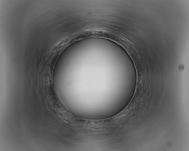 X0000091551014200708171037