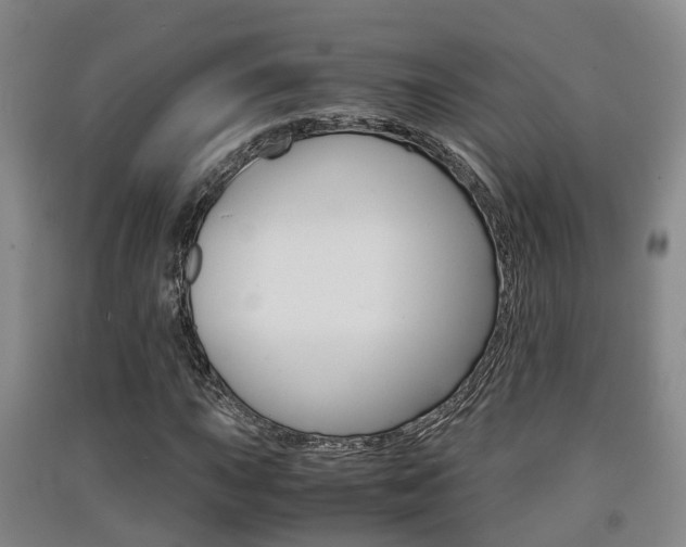 X0000091551015200708171037