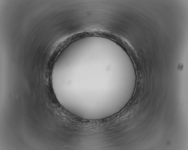 X0000091551016200708171037
