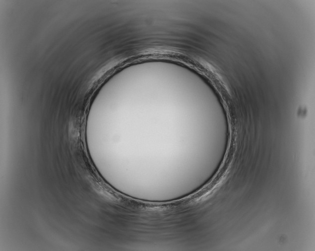 X0000091551017200708171037