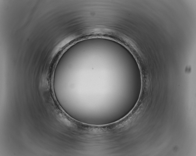 X0000091551018200708171037