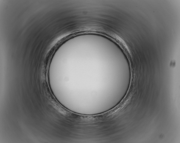 X0000091551019200708171037