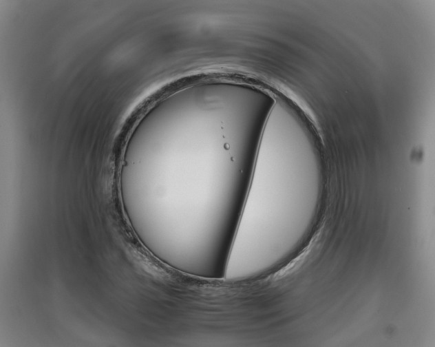 X0000091551021200708171037