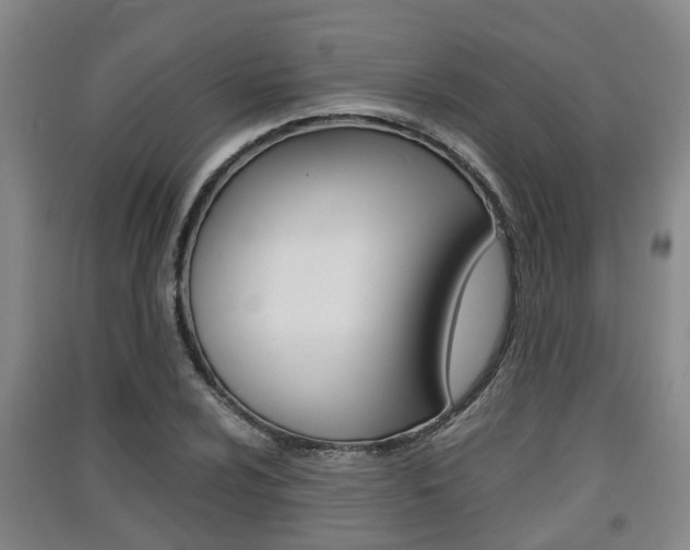 X0000091551024200708171037