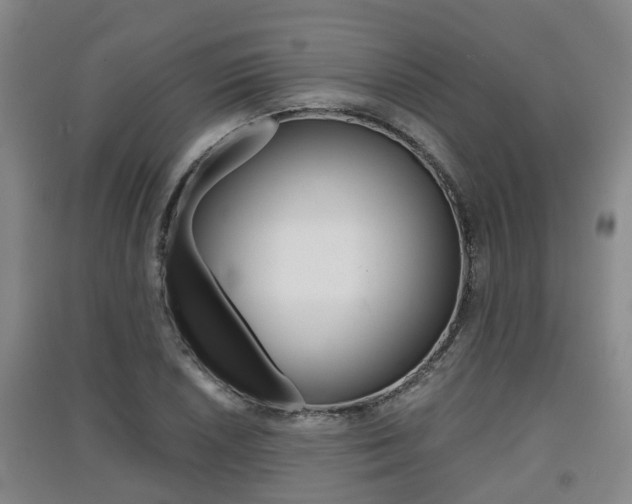 X0000091551026200708171037