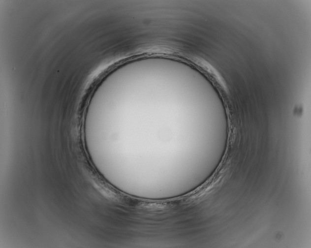 X0000091551027200708171037