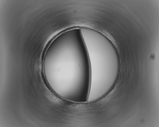 X0000091551028200708171037