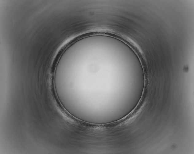 X0000091551029200708171037
