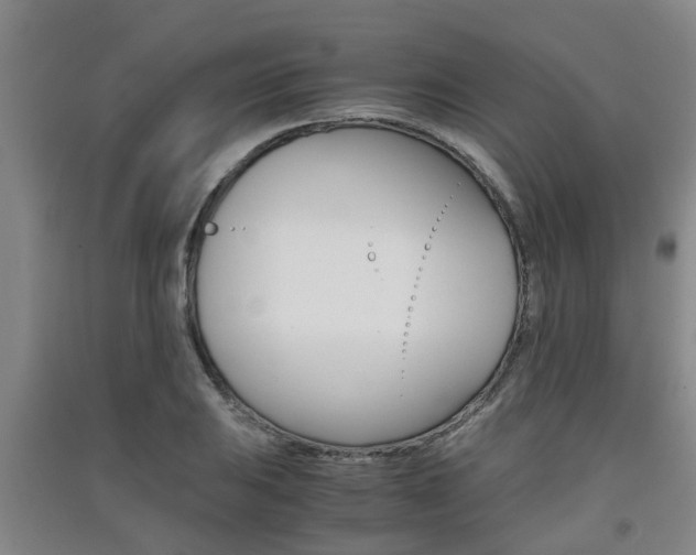 X0000091551031200708171037