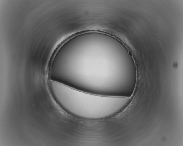 X0000091551032200708171037