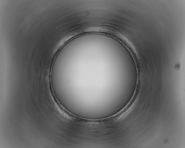 X0000091551033200708171037