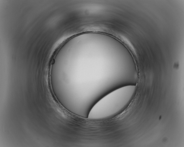 X0000091551035200708171037