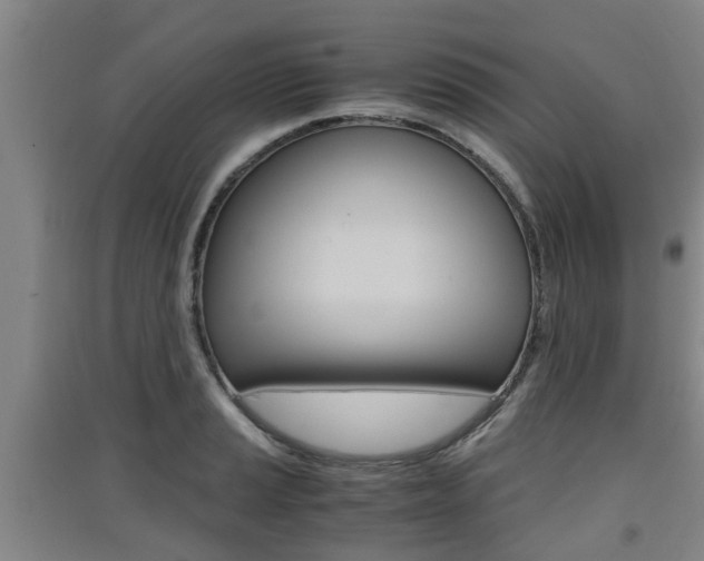 X0000091551037200708171037