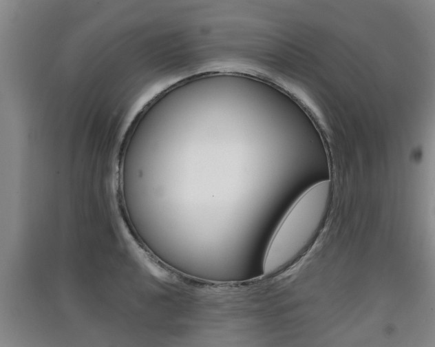 X0000091551040200708171037