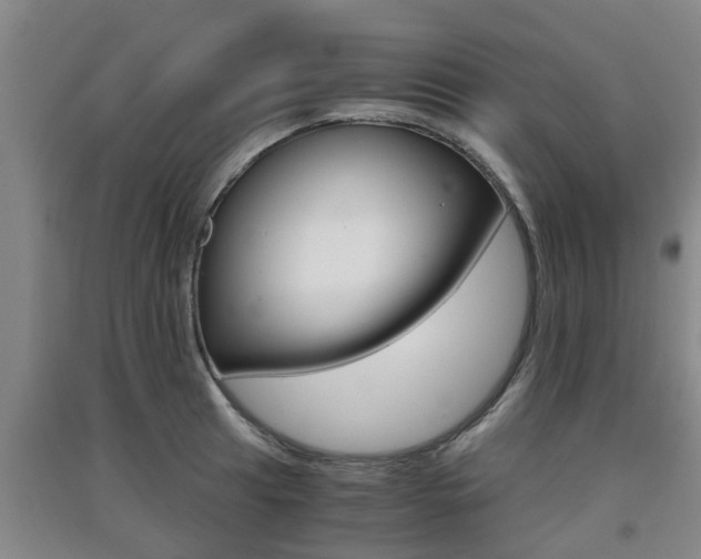 X0000091551041200708171037