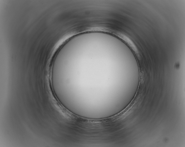 X0000091551043200708171037