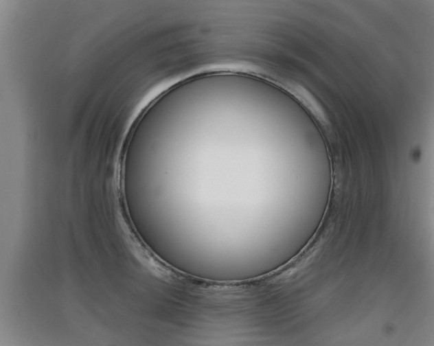 X0000091551044200708171037