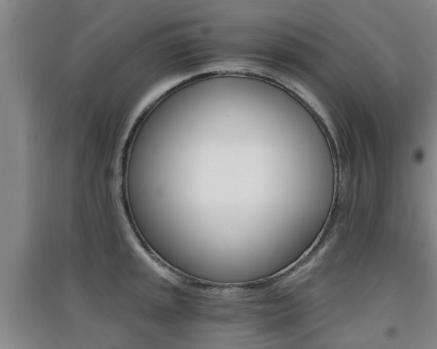 X0000091551045200708171037