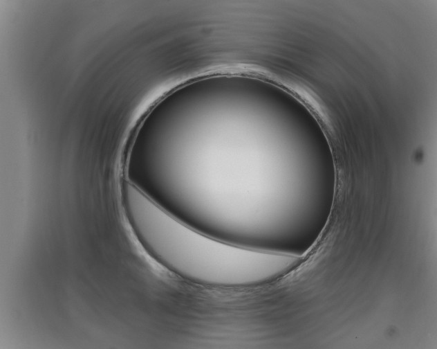X0000091551046200708171037