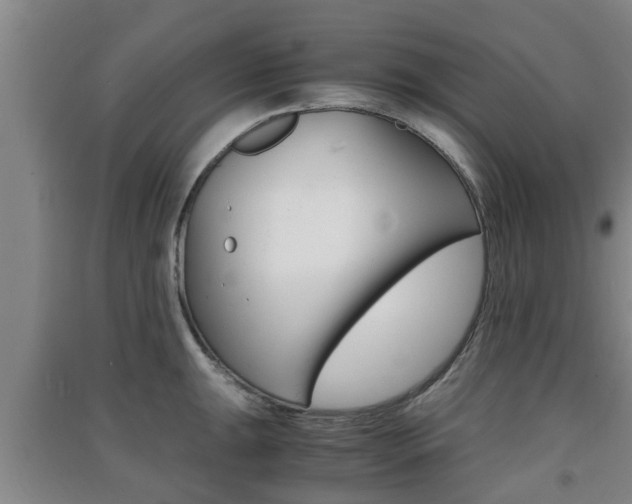 X0000091551047200708171037