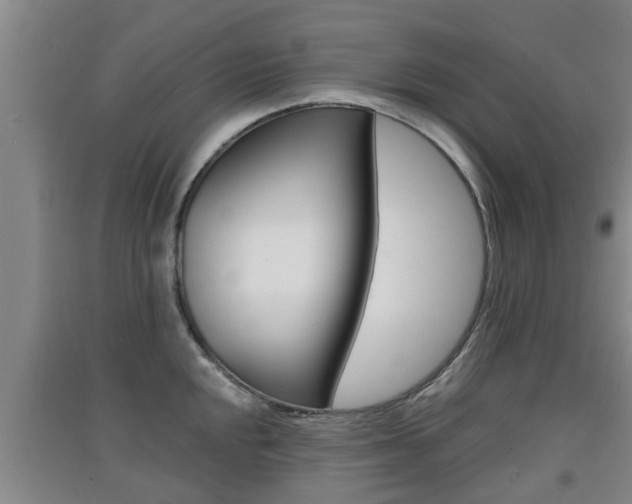 X0000091551048200708171037