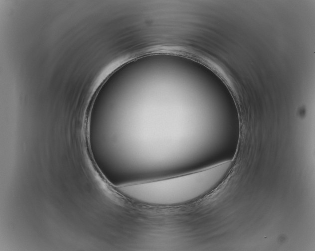 X0000091551050200708171037