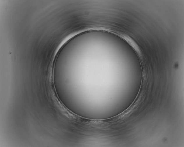X0000091551052200708171037