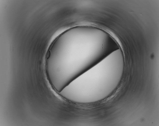 X0000091551053200708171037