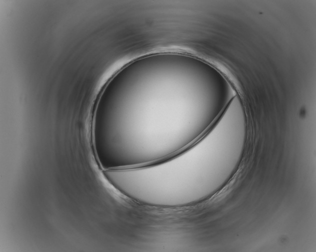 X0000091551054200708171037
