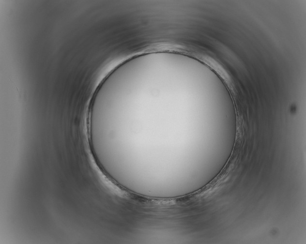 X0000091551055200708171037