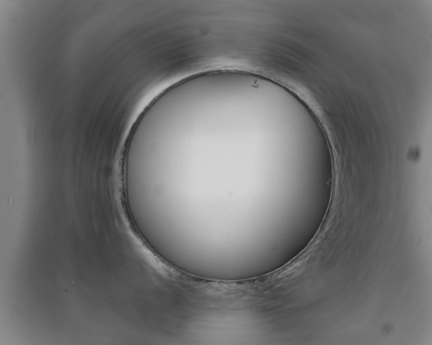 X0000091551056200708171037