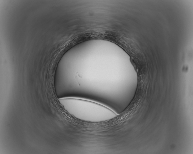X0000091551057200708171036