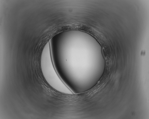 X0000091551058200708171036