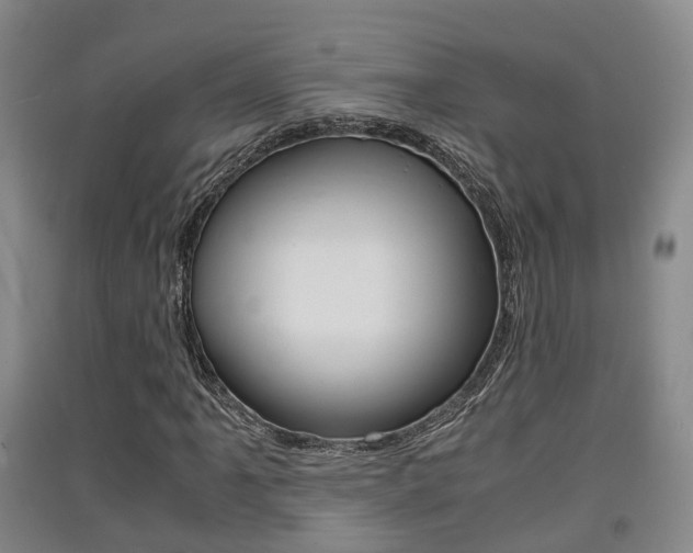 X0000091551061200708171036