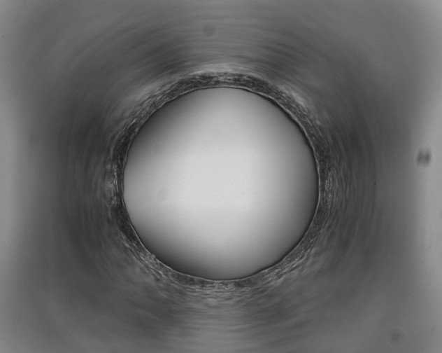 X0000091551062200708171036