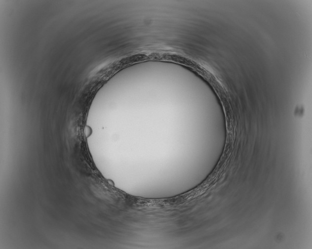 X0000091551063200708171036