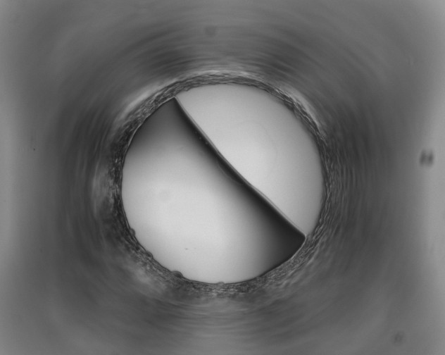 X0000091551064200708171036