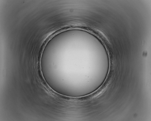 X0000091551065200708171036