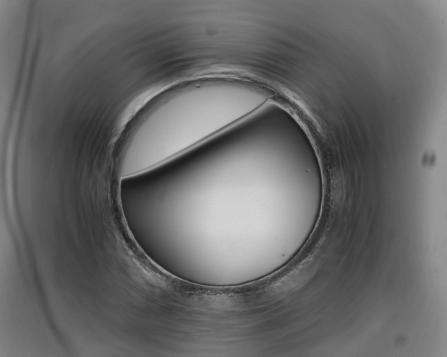 X0000091551066200708171036