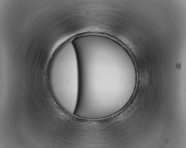 X0000091551070200708171036