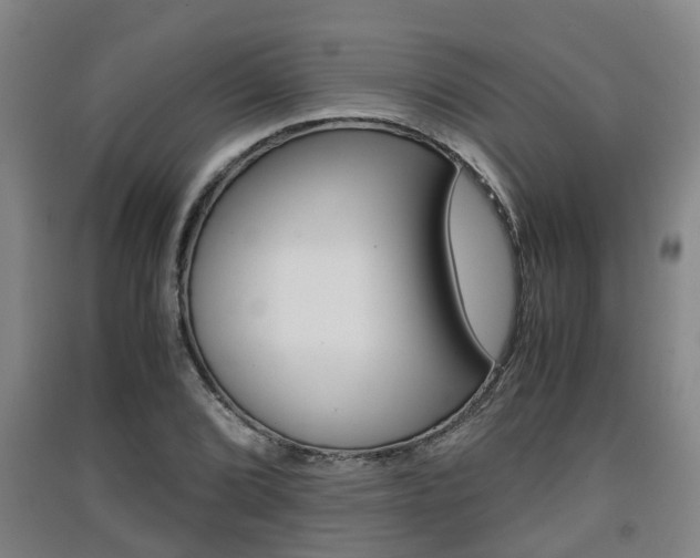 X0000091551072200708171036