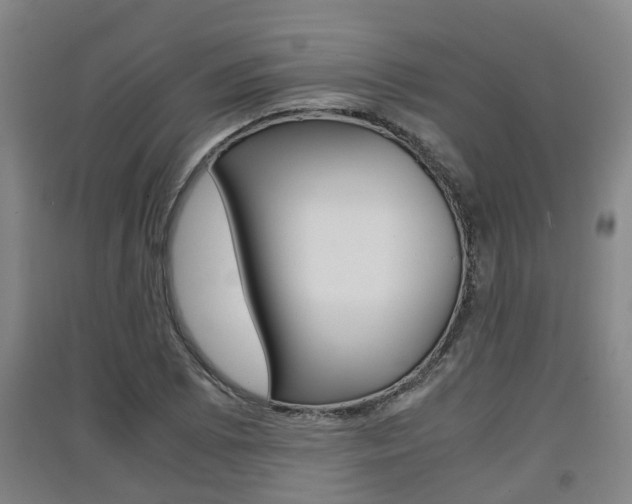 X0000091551073200708171036