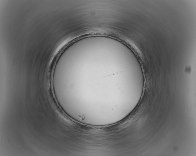 X0000091551075200708171036